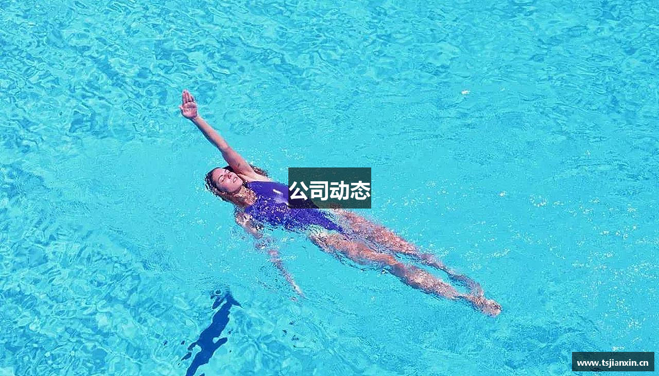 公司动态